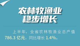 【海报】一组数据了解上半年山西农业经济发展态势